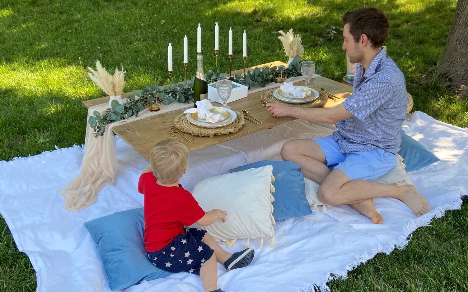 home-picnic