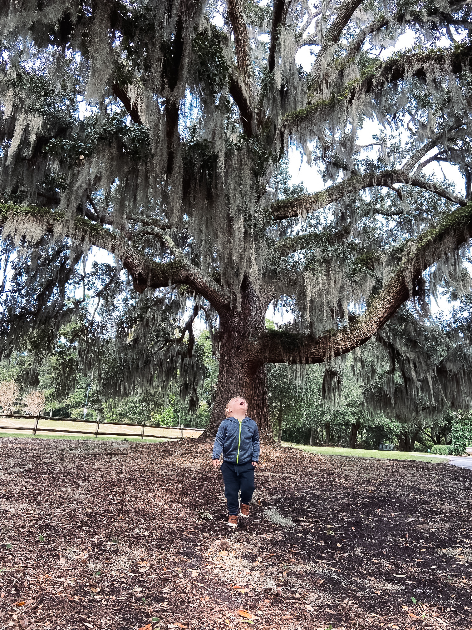 north-carolina-wilmington-airlie-gardens-toddler-activity